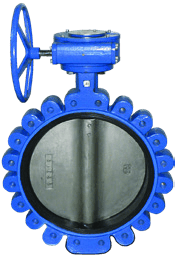 Blue butterfly valve